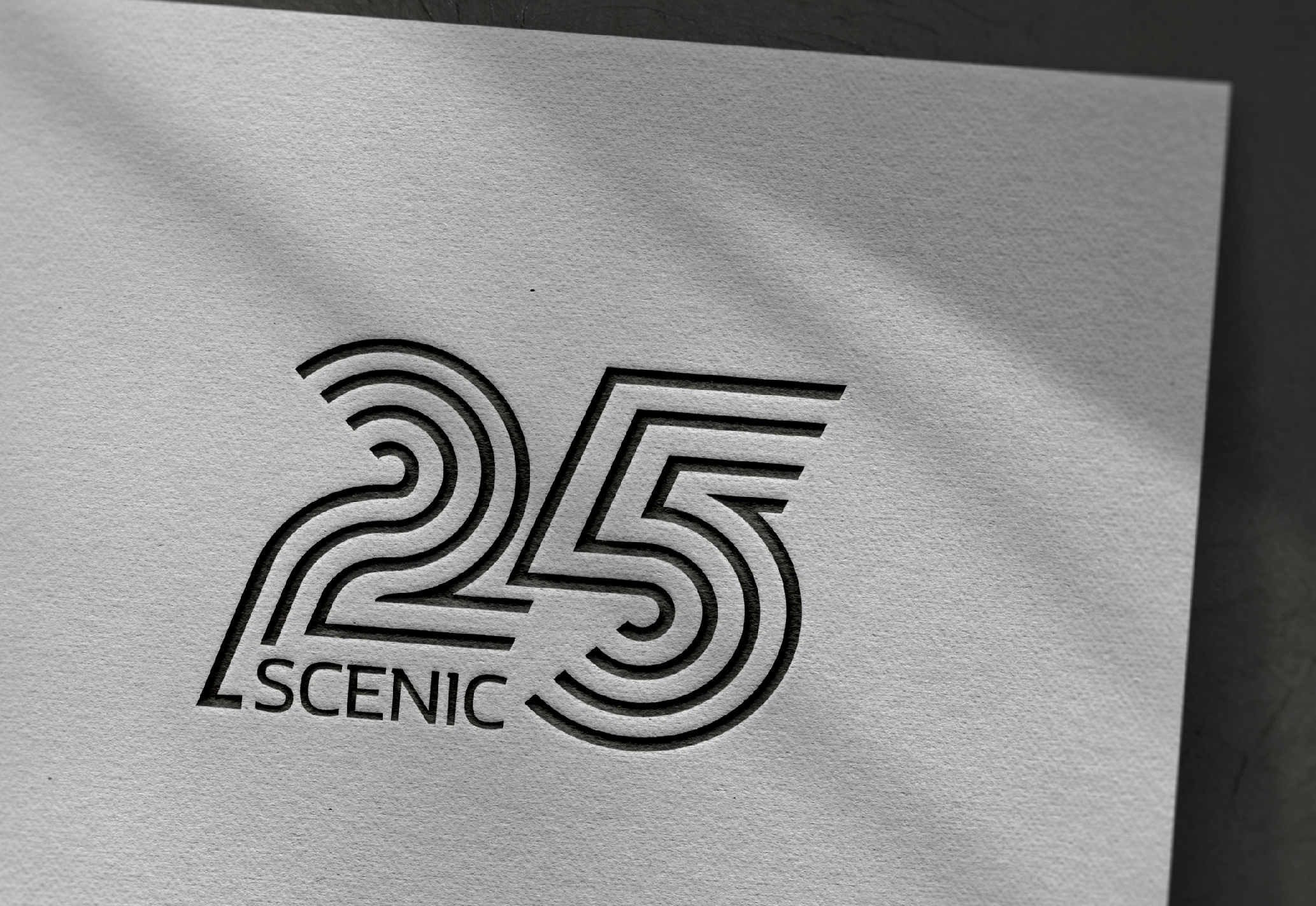 Renault Scenic 25ans